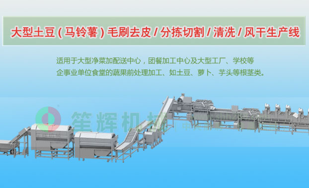 新荣连续式土豆去皮清洗切割风干生产线